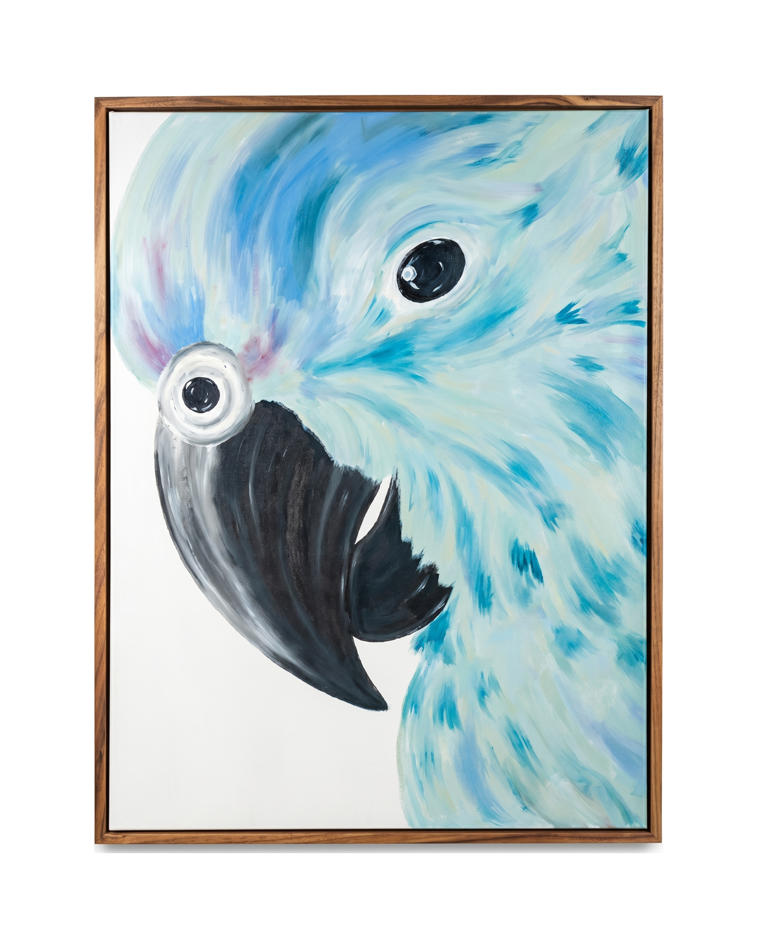 CUADRO LORO AZUL LORO AZUL