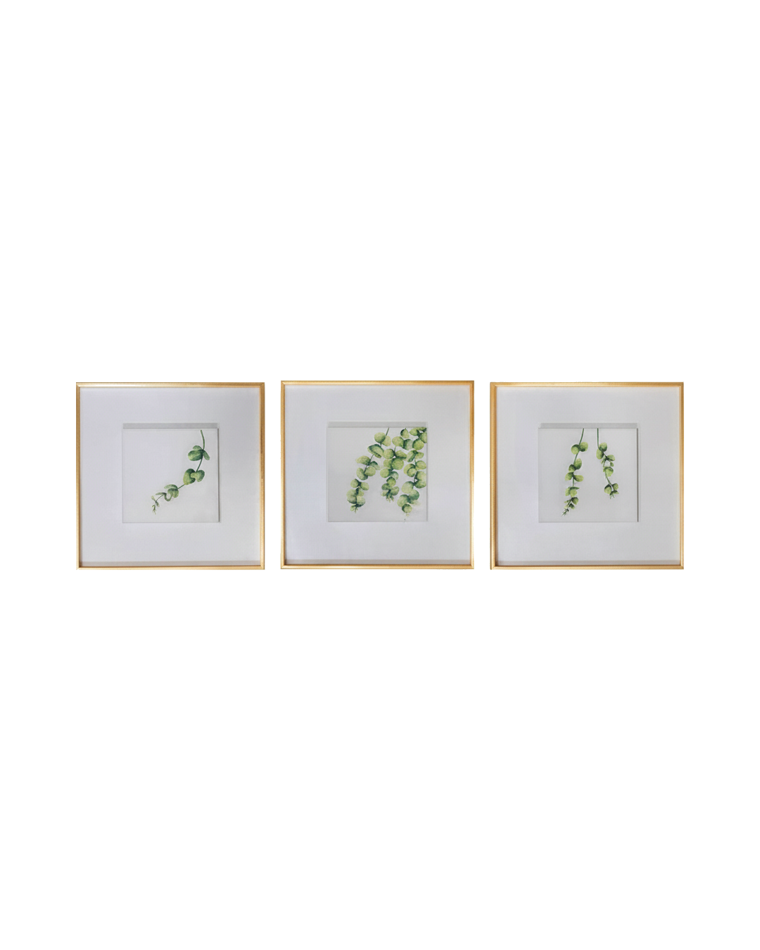 CUADRO AROMAS SET 3 SET HOJAS VERDES