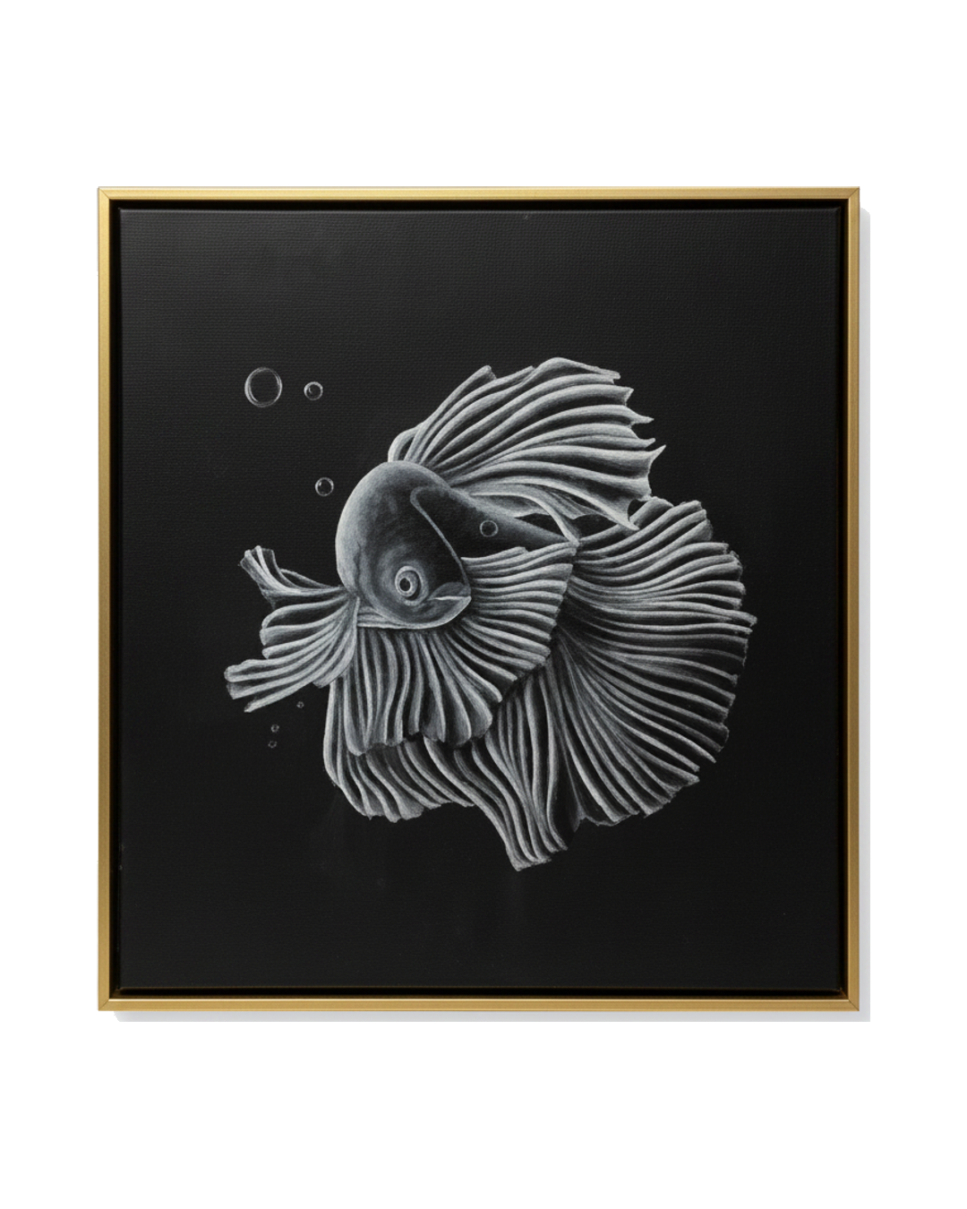 CUADRO BETTA FISH A PEZ BETTA CON FONDO NEGRO