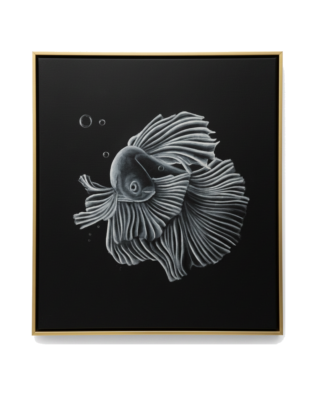 CUADRO BETTA FISH B PEZ BETTA CON FONDO NEGRO