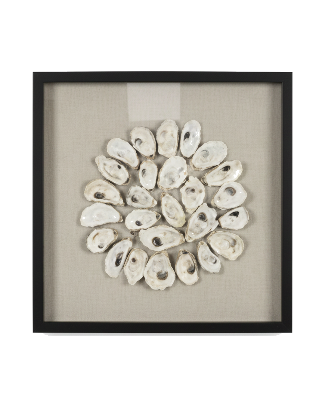 CUADRO CLEME SHELLE