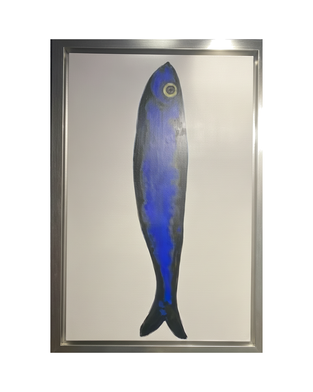 CUADRO PEZ AZUL PEZ AZUL FONDO GRIS