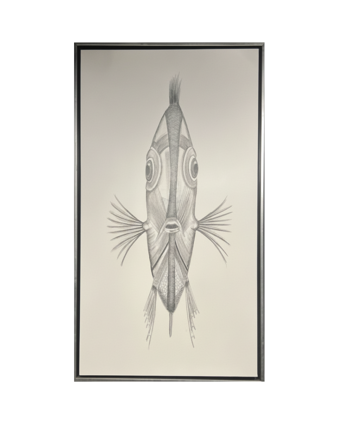 CUADRO SR FISH PEZ CON FONDO BLANCO