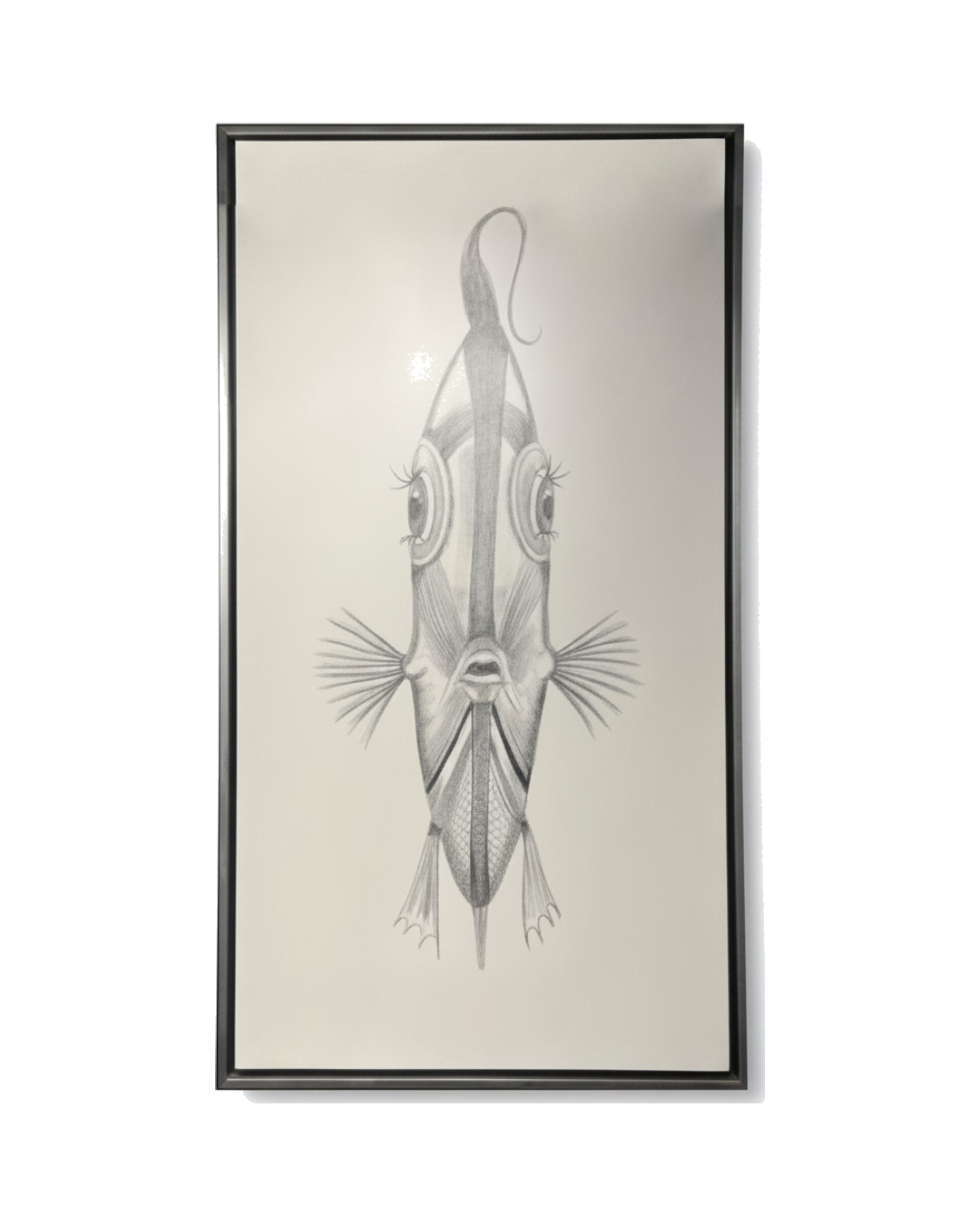 CUADRO SRA FISH PEZ CON FONDO BLANCO
