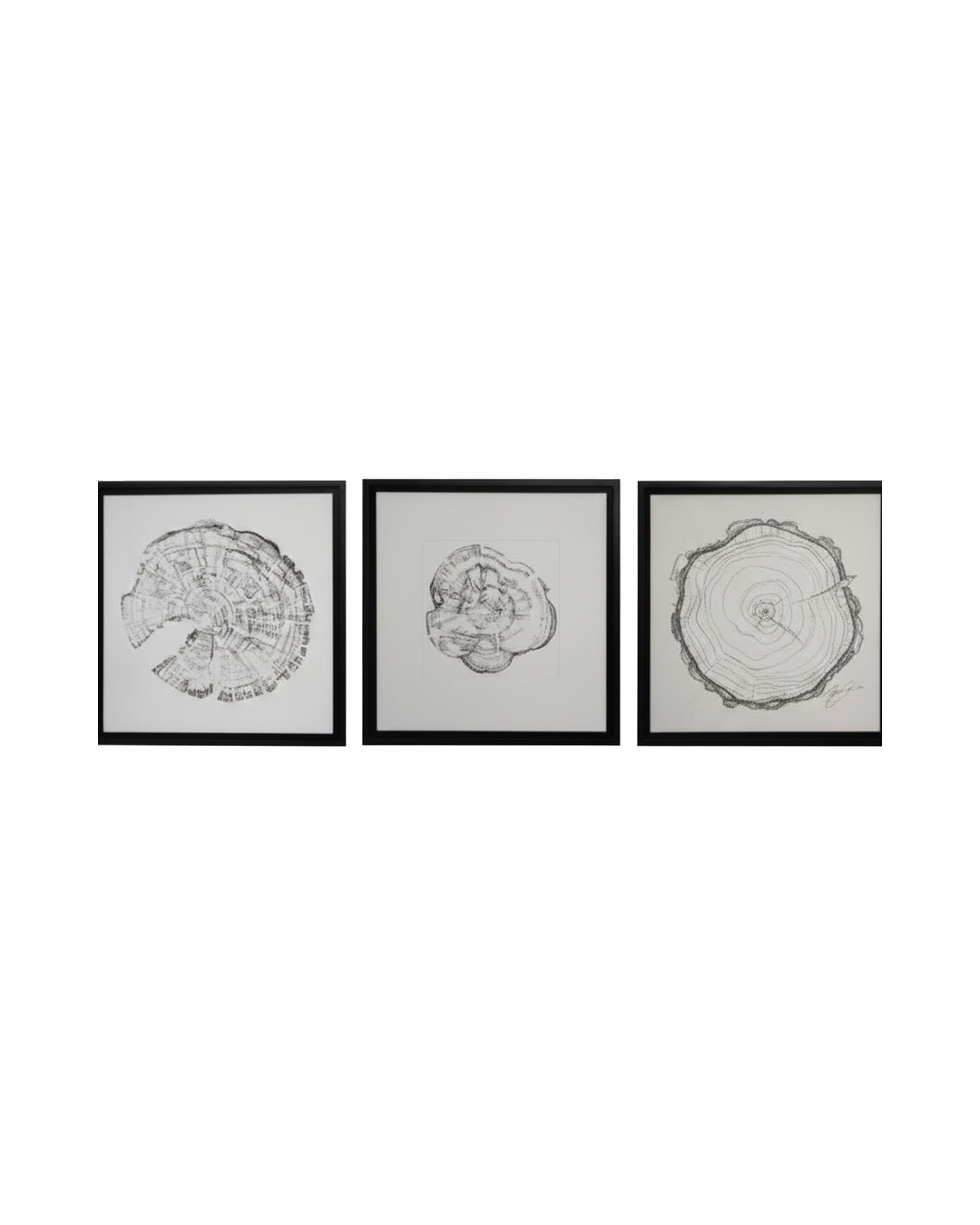 CUADRO WOOD SET DE 3 SET CUADROS TRONCOS