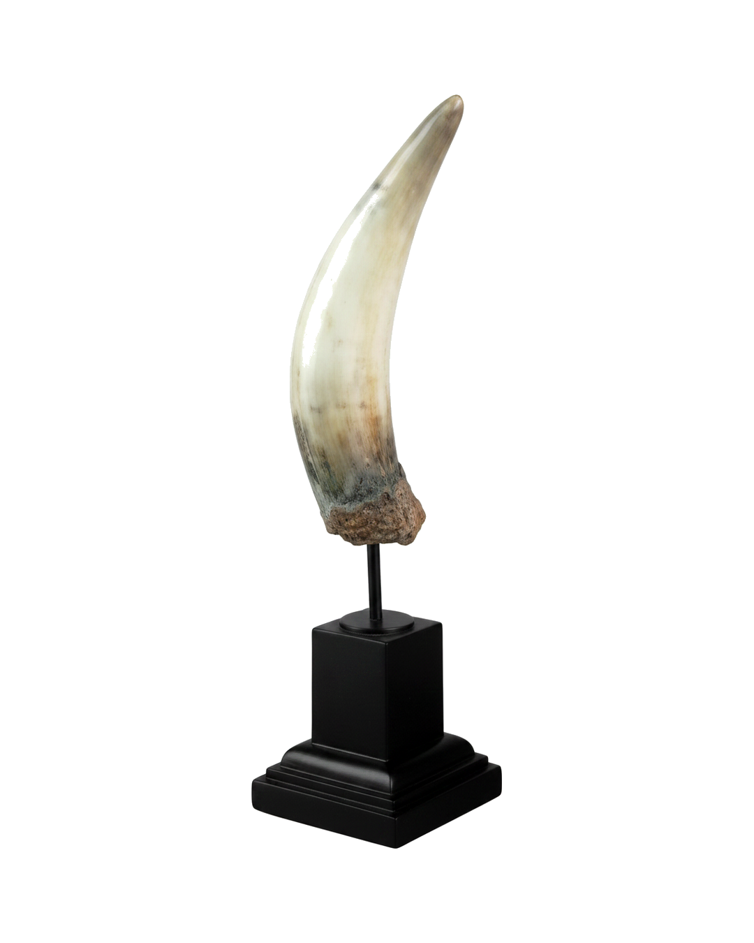 ESCULTURA CUERNO EN RESINA