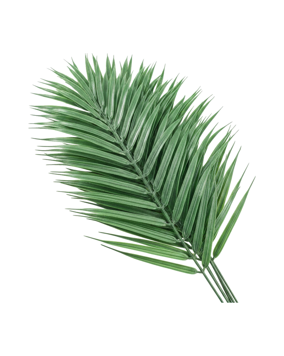SET HOJA PALMA X3 101.6CM HOJA DE PALMA