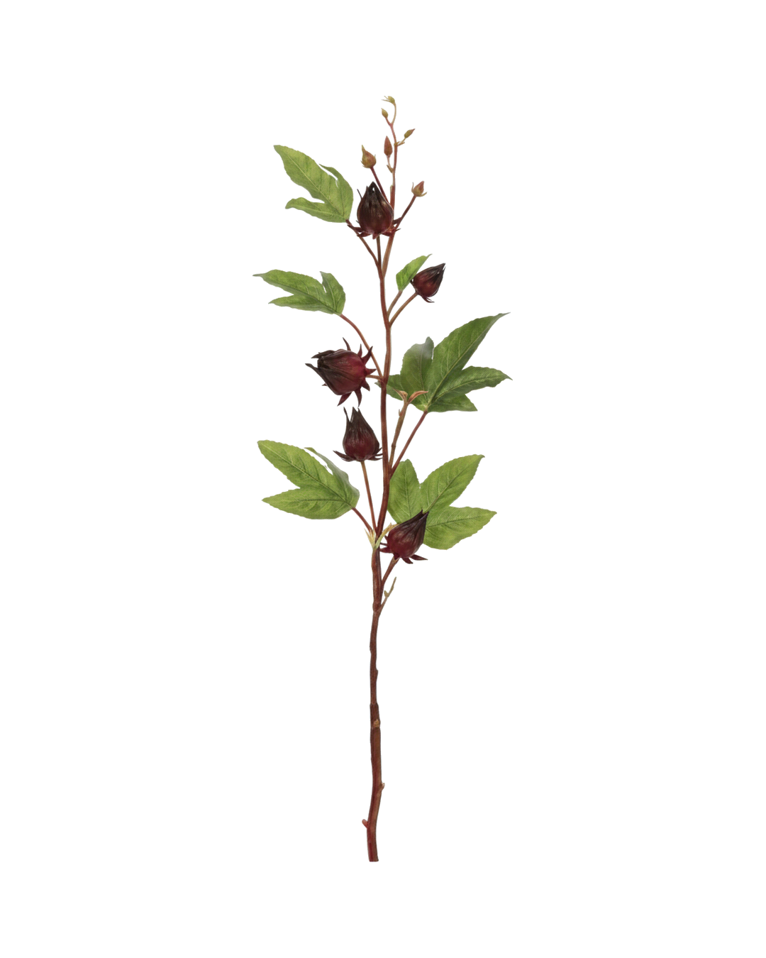 VARA DE ROSA FSR382-BU 81.28CM VARA DE ROSA FSR382-BU